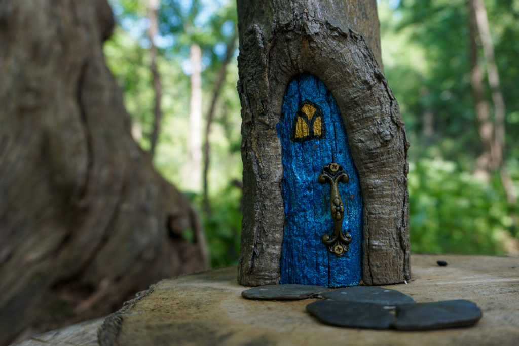 Birdsong Fairy Trail in Mendon Ponds Park Near Rochester Exploring Upstate