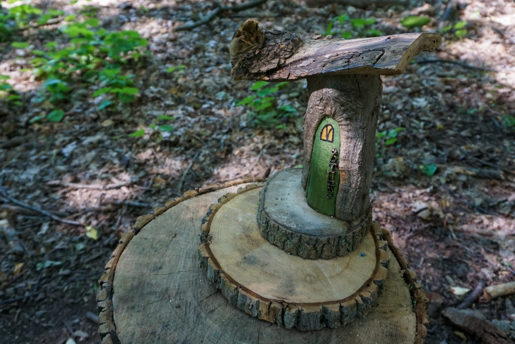 Birdsong Fairy Trail in Mendon Ponds Park Near Rochester Exploring Upstate