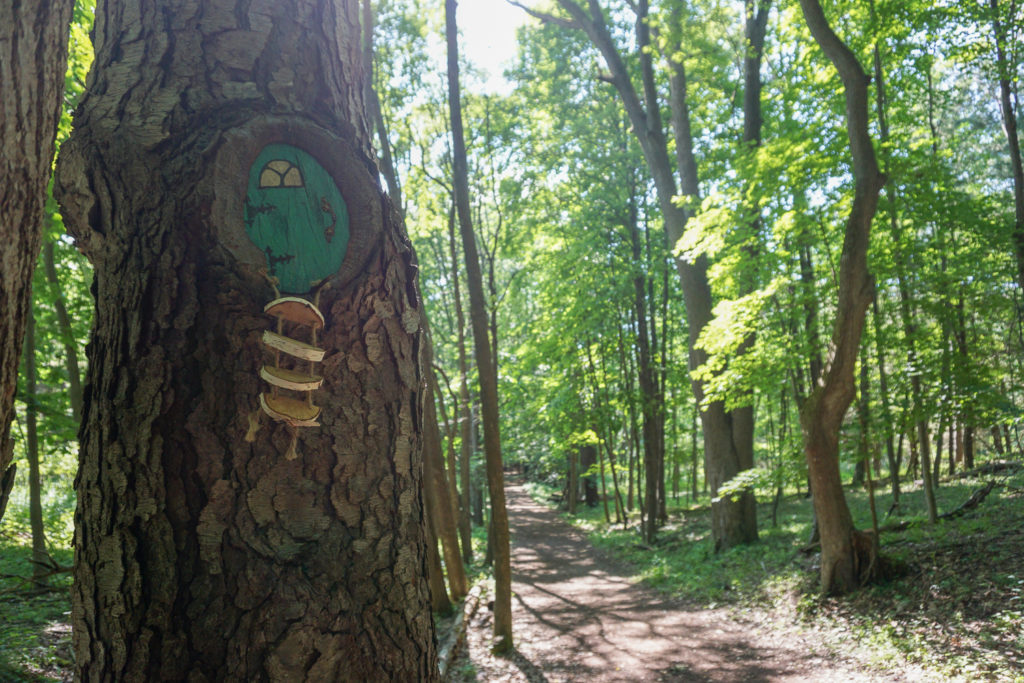 Green Door of a Fairy House in Mendon Ponds Near Rochester