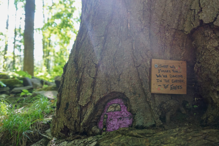 Birdsong Fairy Trail in Mendon Ponds Park Near Rochester Exploring Upstate