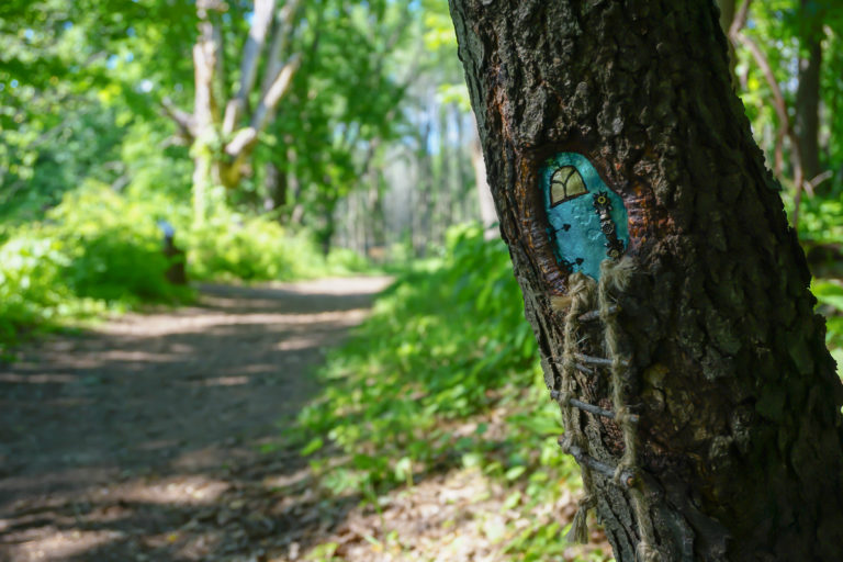 Birdsong Fairy Trail in Mendon Ponds Park Near Rochester Exploring Upstate