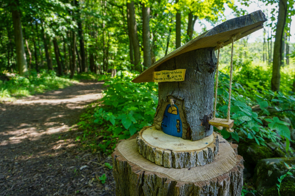 A Fairy House in Mendon Ponds Park in Monroe County