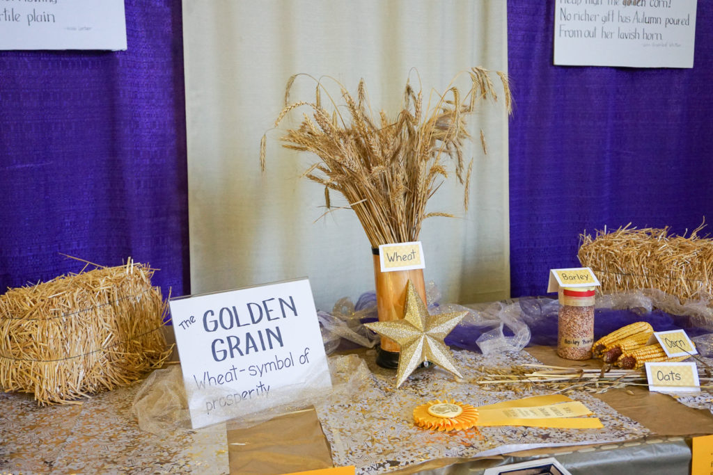 Grain Table at the Wayne County Fair in Palmyra