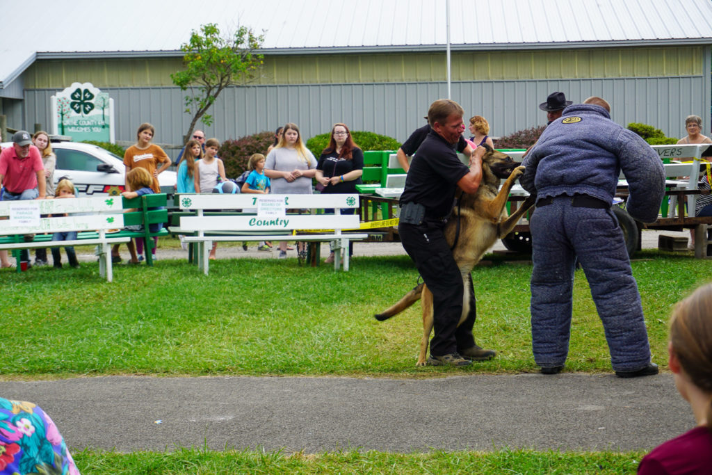 Wayne County Sheriff Dog Demonstration at the Wayne County Fair