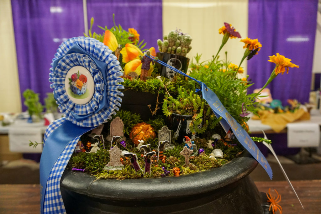 Fairy Garden Display at the Wayne County Fair in Palmyra