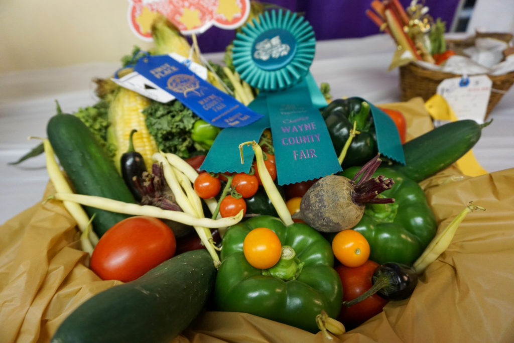 First Place Vegetable Display at the Wayne County Fair in Palmyra