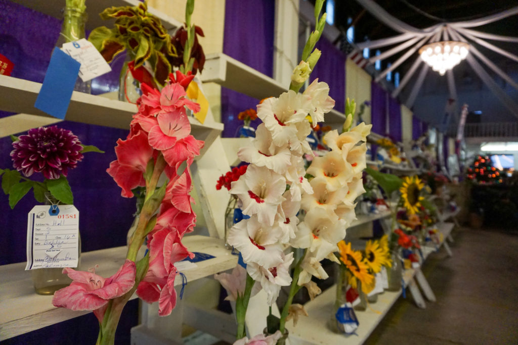 Flowers at the Wayne County Fair in Palmyra