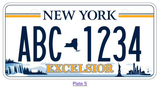 New York License Plate #5