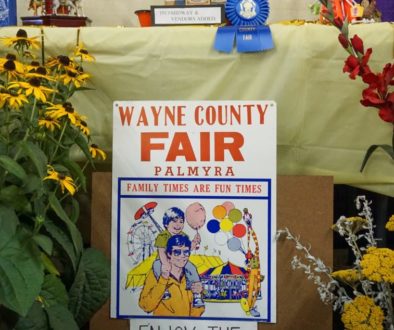 Wayne County Fair Friday Night - Featured Image