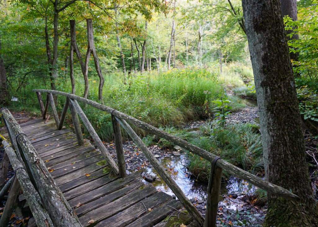 Pollywog Holler in Belmont, New York, Allegany County