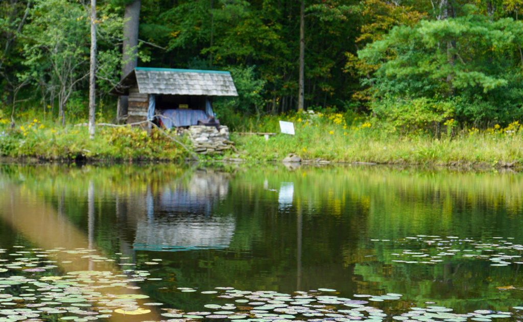 The Lily Pad at Pollywog Holler in Belmont, New York, Allegany County