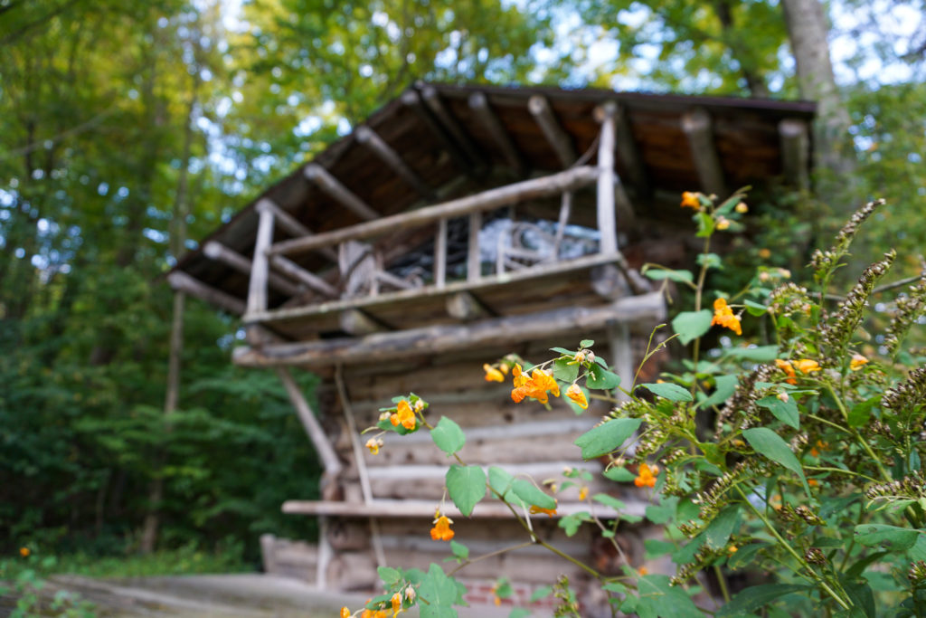 Sauna Cabin at Pollywog Holler in Belmont, New York, Allegany County