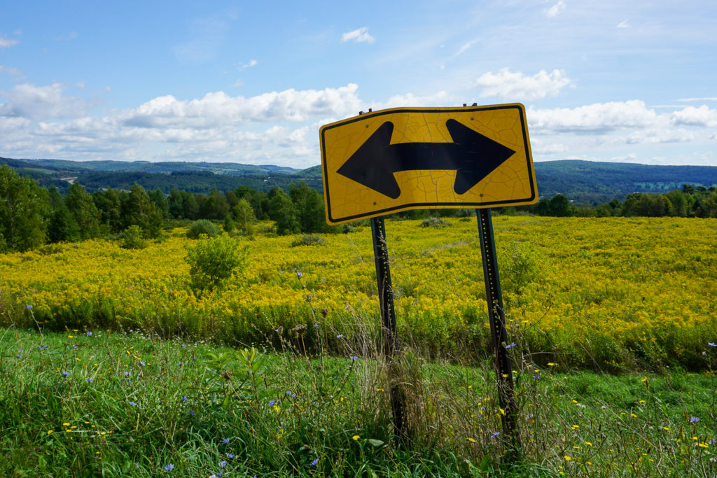 Landscape in Allegany County NY