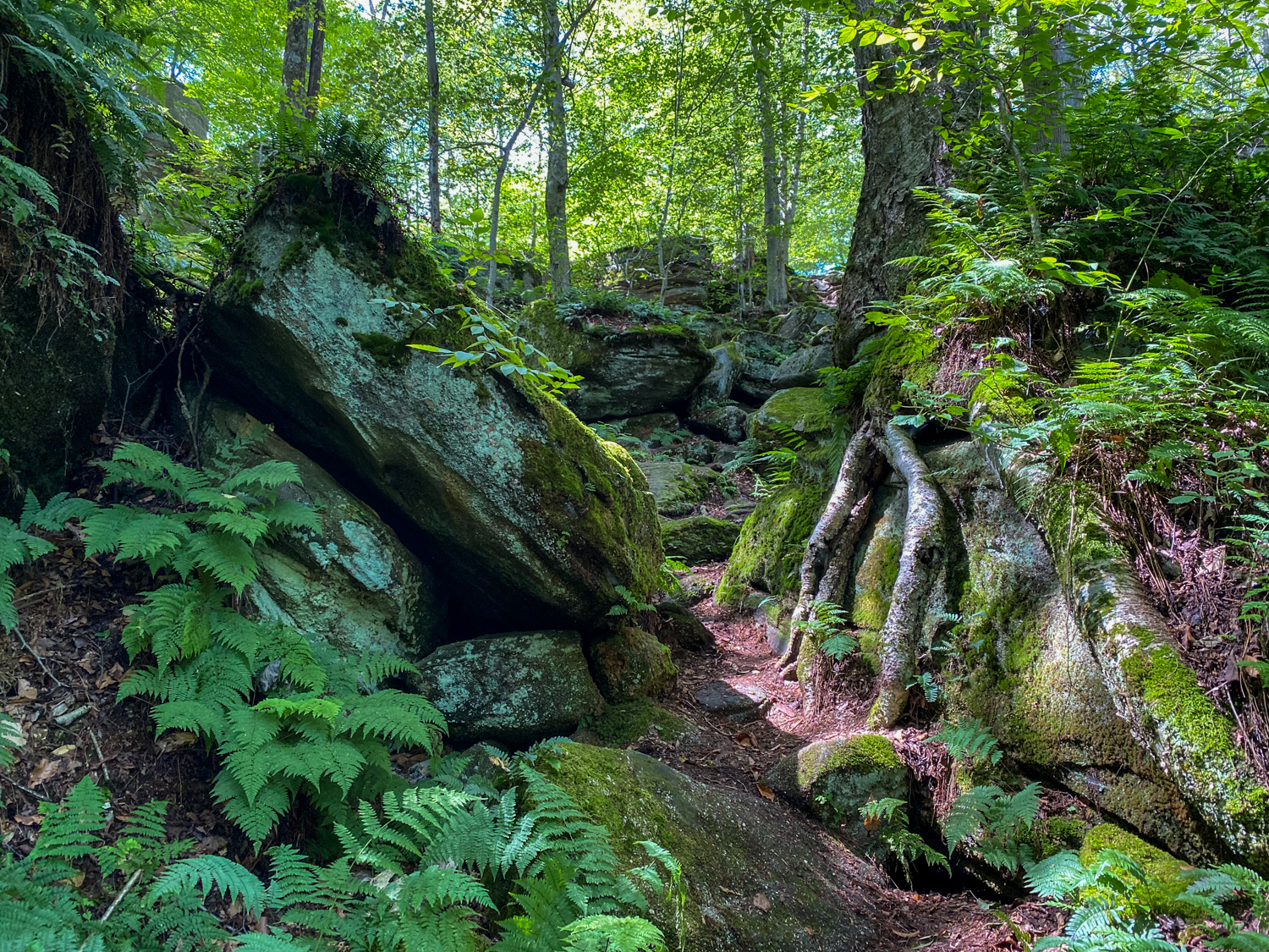 Pammy Rocks Panama Rocks: A Western NY Icon for Generations - Exploring Upstate